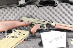 Auto Ordnance Thompson Semi-Automatic Carbine In .45 ACP W/ Mags, Case