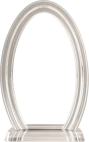 GunBroker Top 10 Seller Trophy